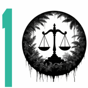 Die Zahl 1 steht für Teil 1 der Blogartikel Serie zum Thema Ökozidgesetzgebung und planetare Grenzen