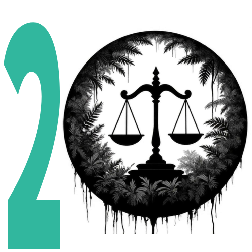 Teil zwei der Blogserie um das Wissen rund um Ökozid zu erweitern.